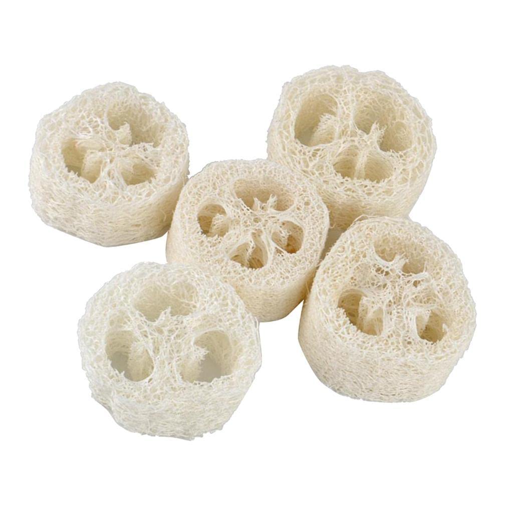 Natural Loofa Rounds